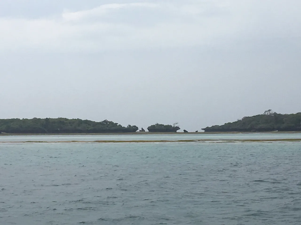Reef water at the Kisite-Mpunguti marine park