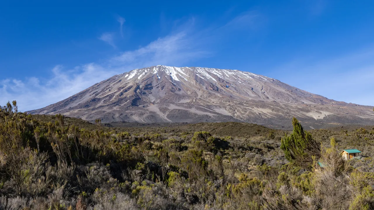 Marvel at the snow-capped slopes of Mount Kilimanjaro, rising dramatically above the rugged highland vegetation.