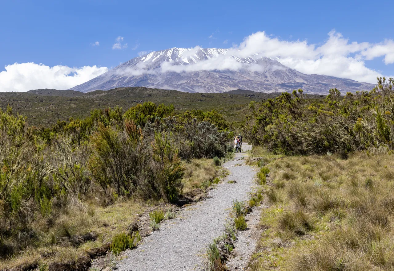 Hike through the wild alpine landscape toward Mount Kilimanjaro, surrounded by breathtaking mountain views and rugged highland vegetation.