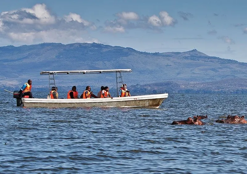 A boat among hippo on Lake Naivasha