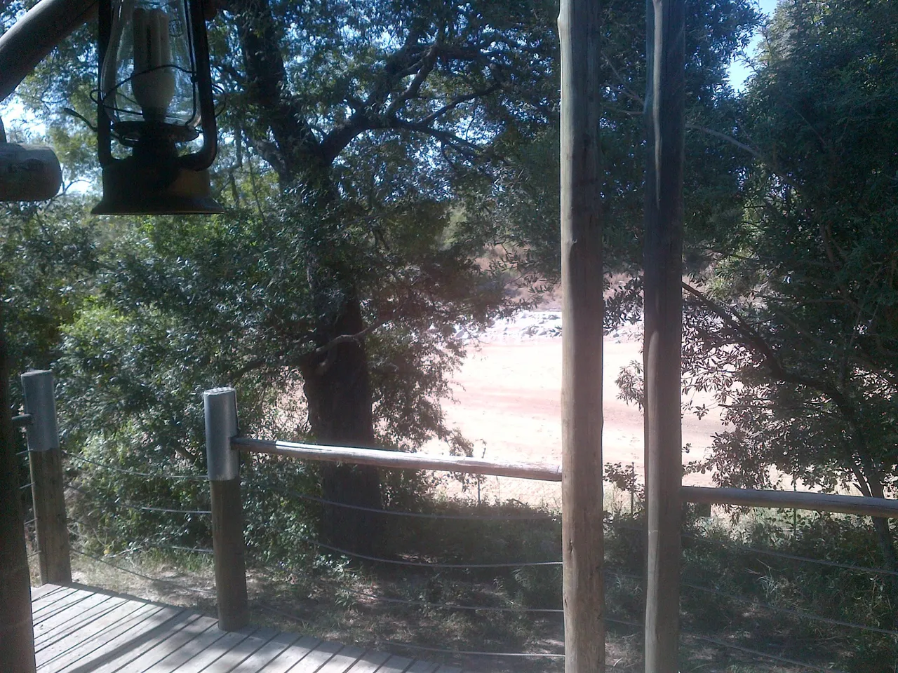 A tented safari camp
