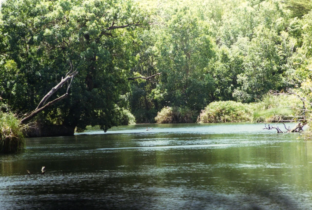 Mzima Springs in Tsavo West